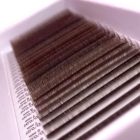 24 lines - brown eyelashes